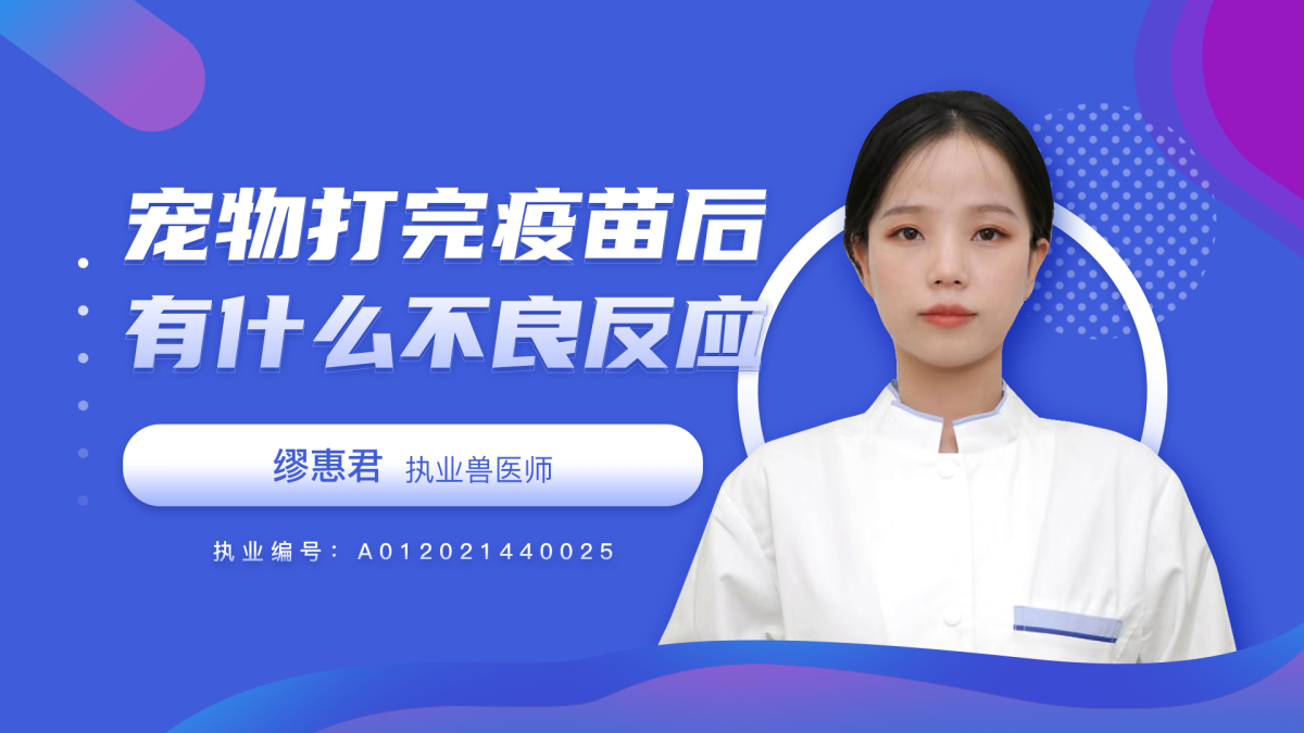 宠物打完疫苗后有什么不良反应？