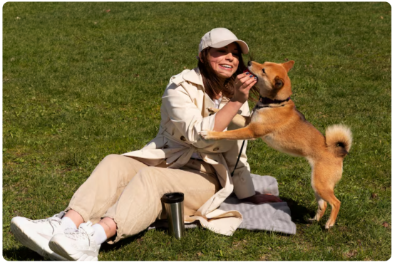 招狗喜欢的人有什么特点