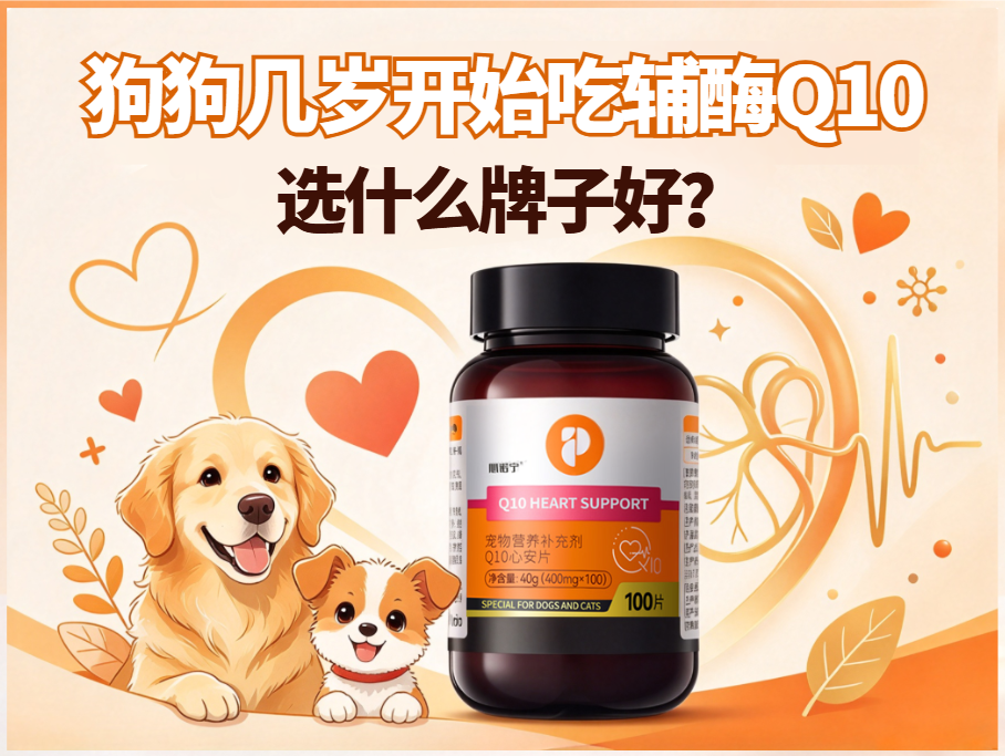 狗狗几岁开始吃辅酶Q10？选什么牌子好？