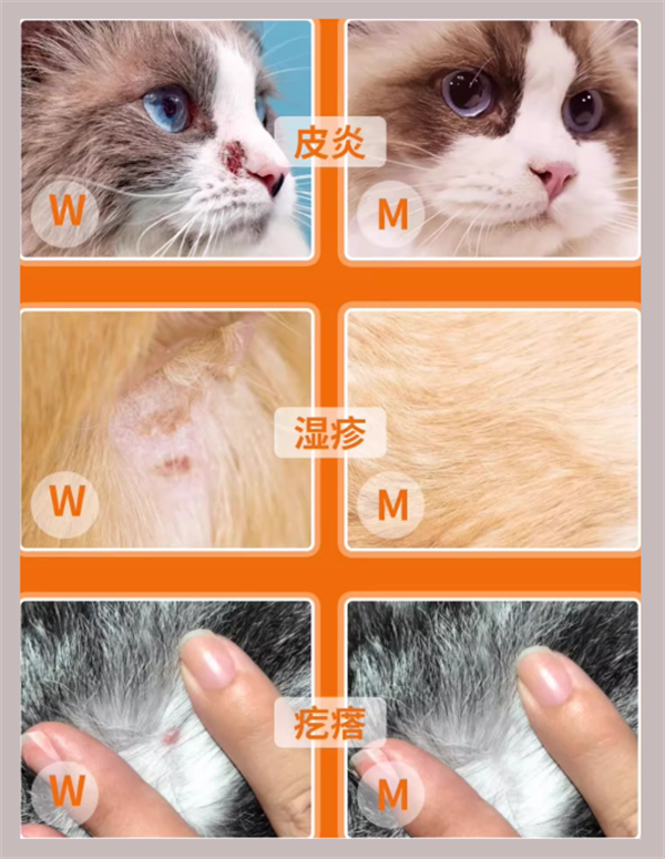 猫咪有一块毛秃了但不是猫癣用什么药？