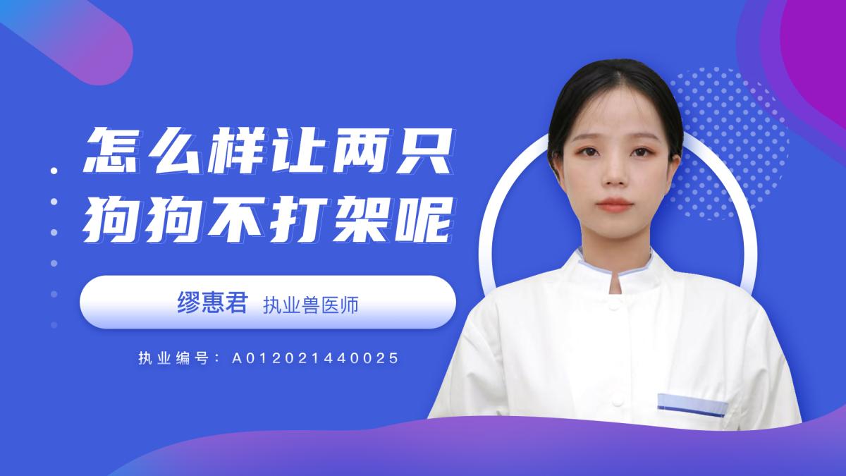 怎么样让两只狗不打架？