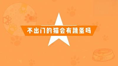 不出门的猫会长跳蚤吗