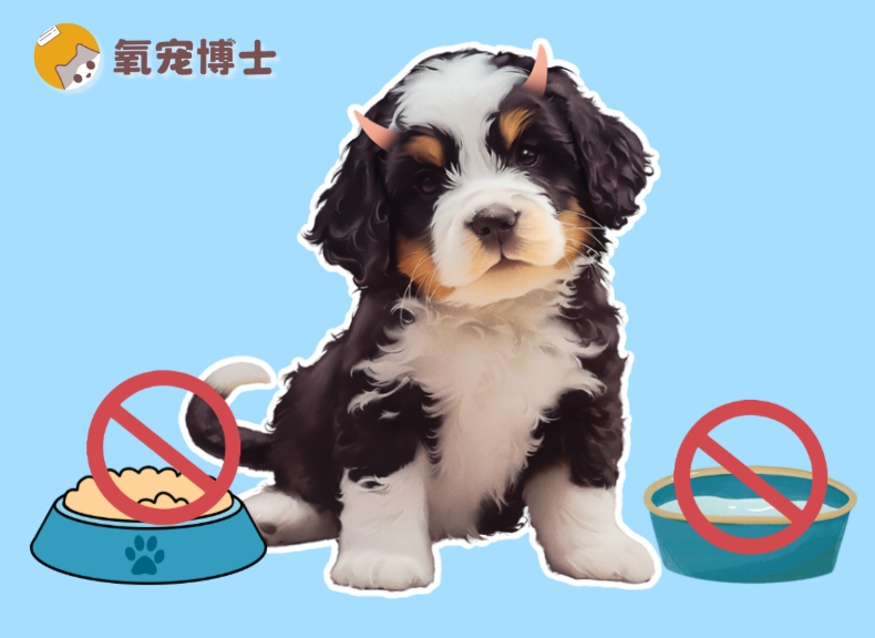 狗狗肠胃炎断食断水几天？别瞎操作，小心狗狗脱水！