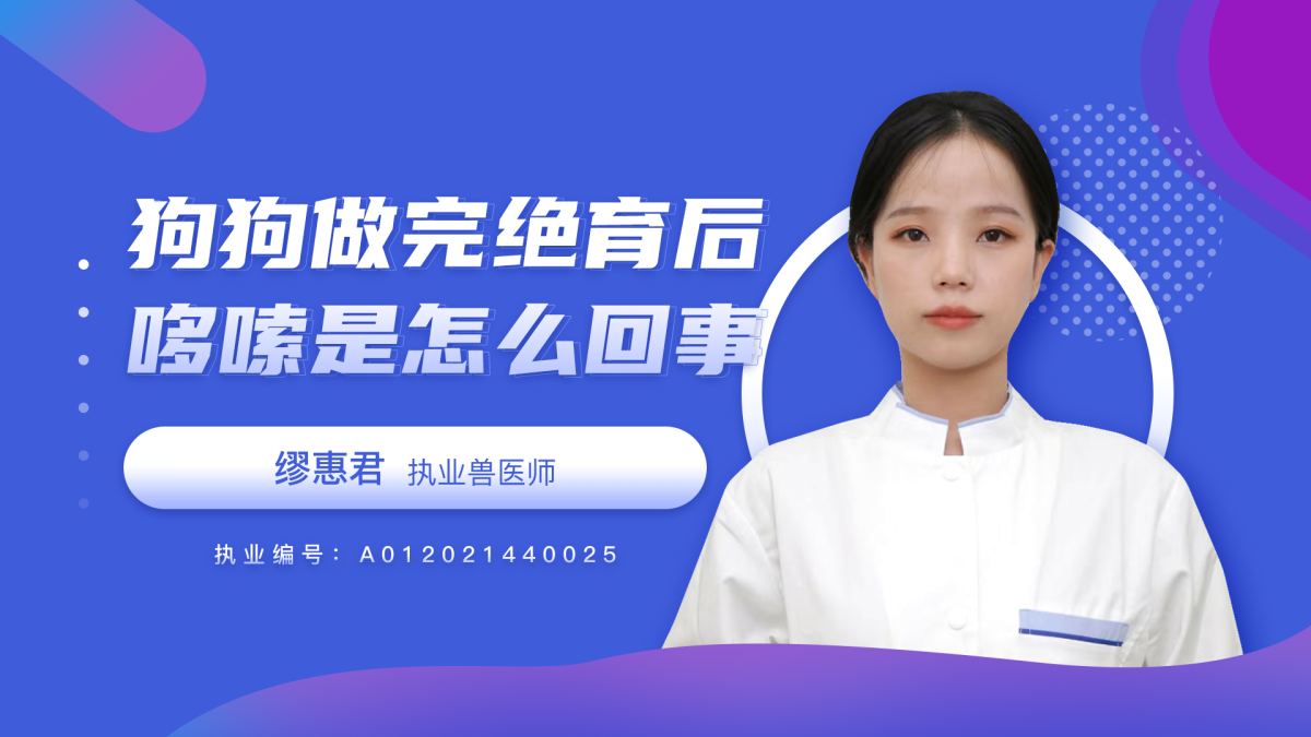 狗狗做完绝育后哆嗦是怎么回事？