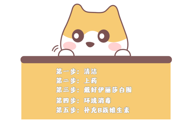 貓癬怎麼處理？