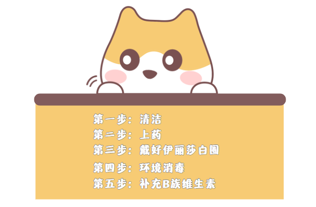 猫癣怎么处理？