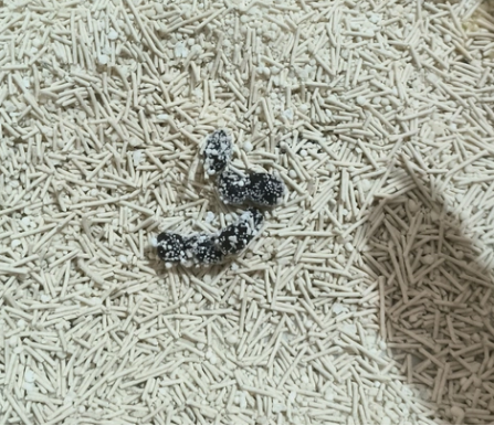 福丸木薯豆腐混合猫砂好用吗