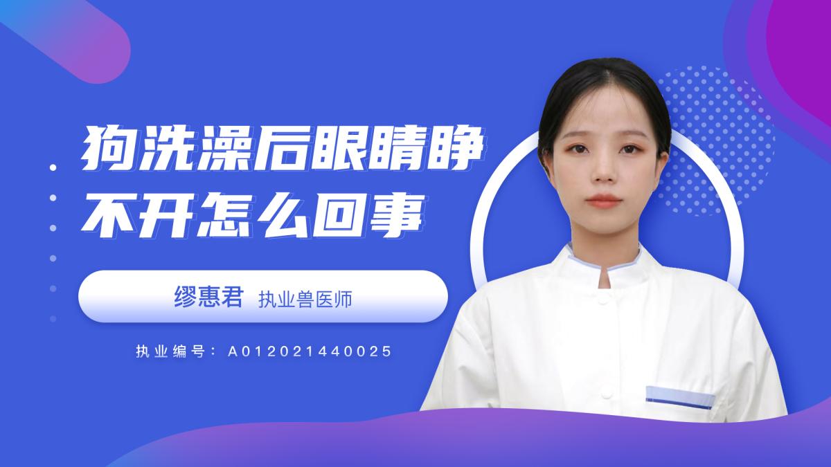 狗狗洗澡后眼睛睁不开是怎么回事？