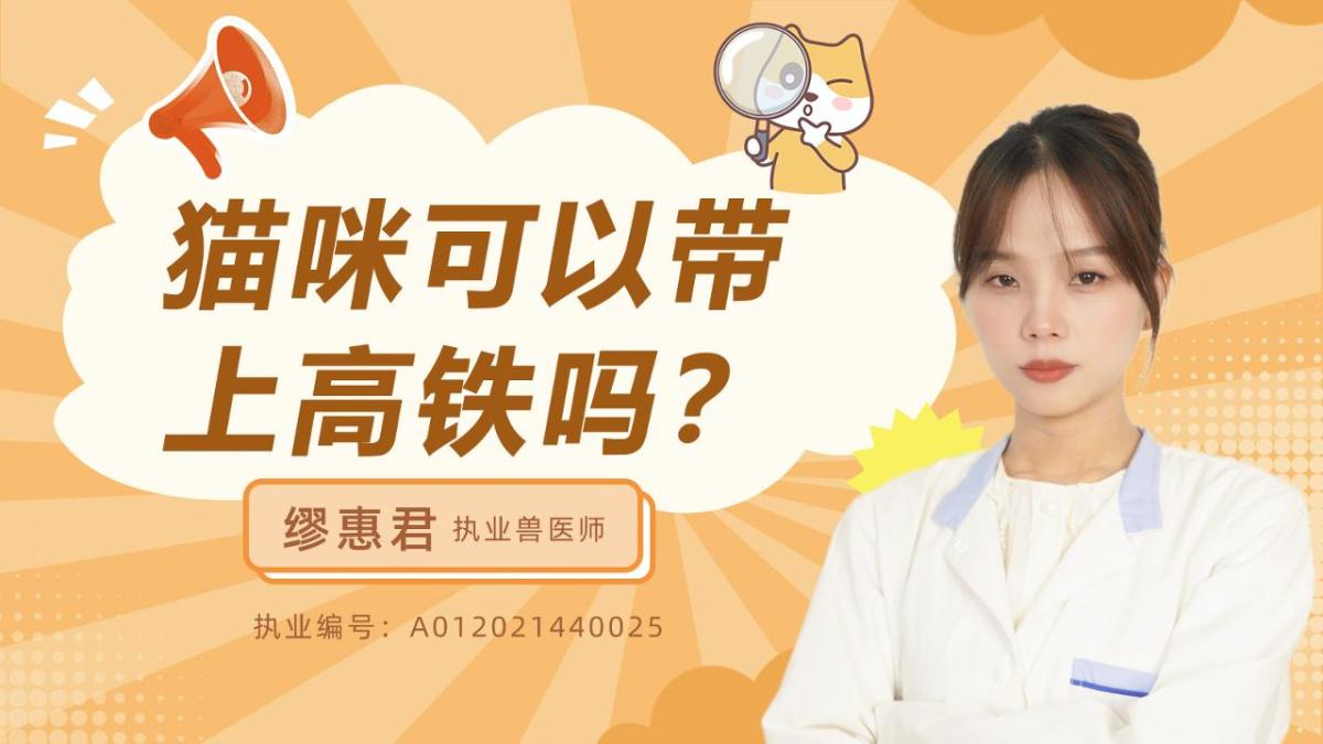 猫咪可以带上高铁吗？