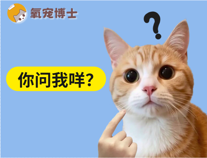 猫咪绝育后，它知道自己“被嘎了”吗？