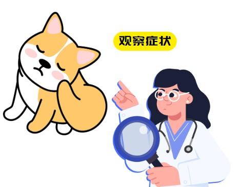 愛犬皮膚突現結痂疙瘩，一文教你如何快速應對！