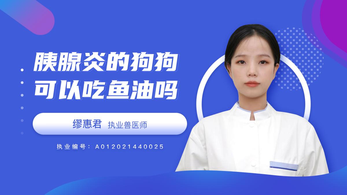 胰腺炎的狗狗可以吃鱼油吗？