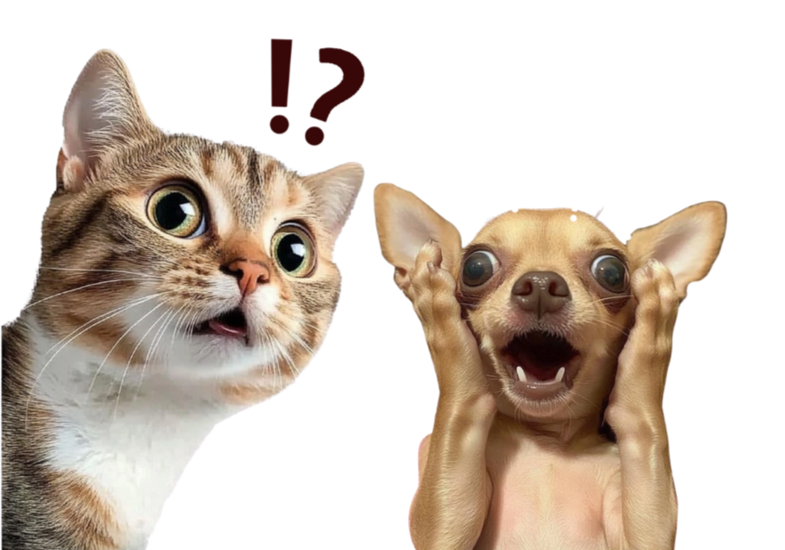 宠物辅酶Q10选什么牌子好