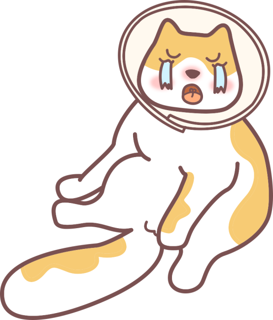 猫咪被咬伤了怎么办