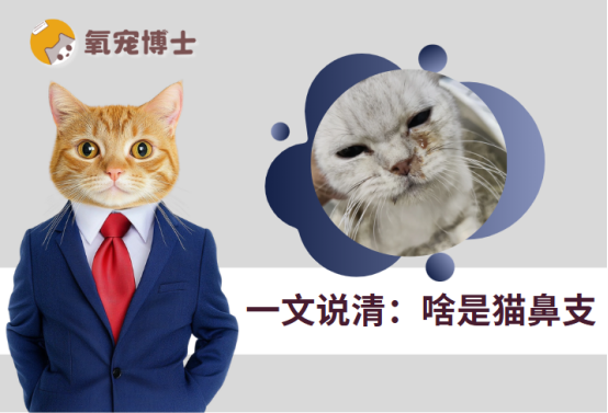 啥是貓鼻支？