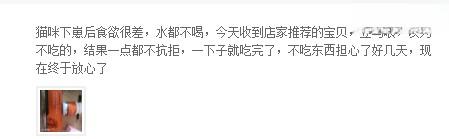 猫咪产后呕吐治疗效果