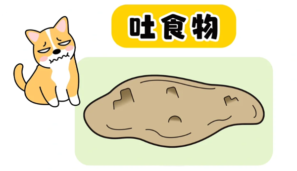 狗狗嘔吐用什麼藥？