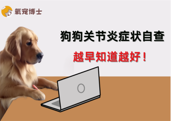 狗狗关节炎的9个典型症状