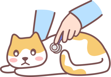 猫咪老是一抽一抽的咳嗽怎么办
