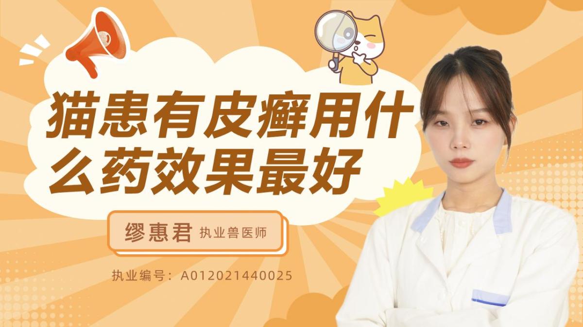 猫患有皮癣用什么药效果最好呢？
