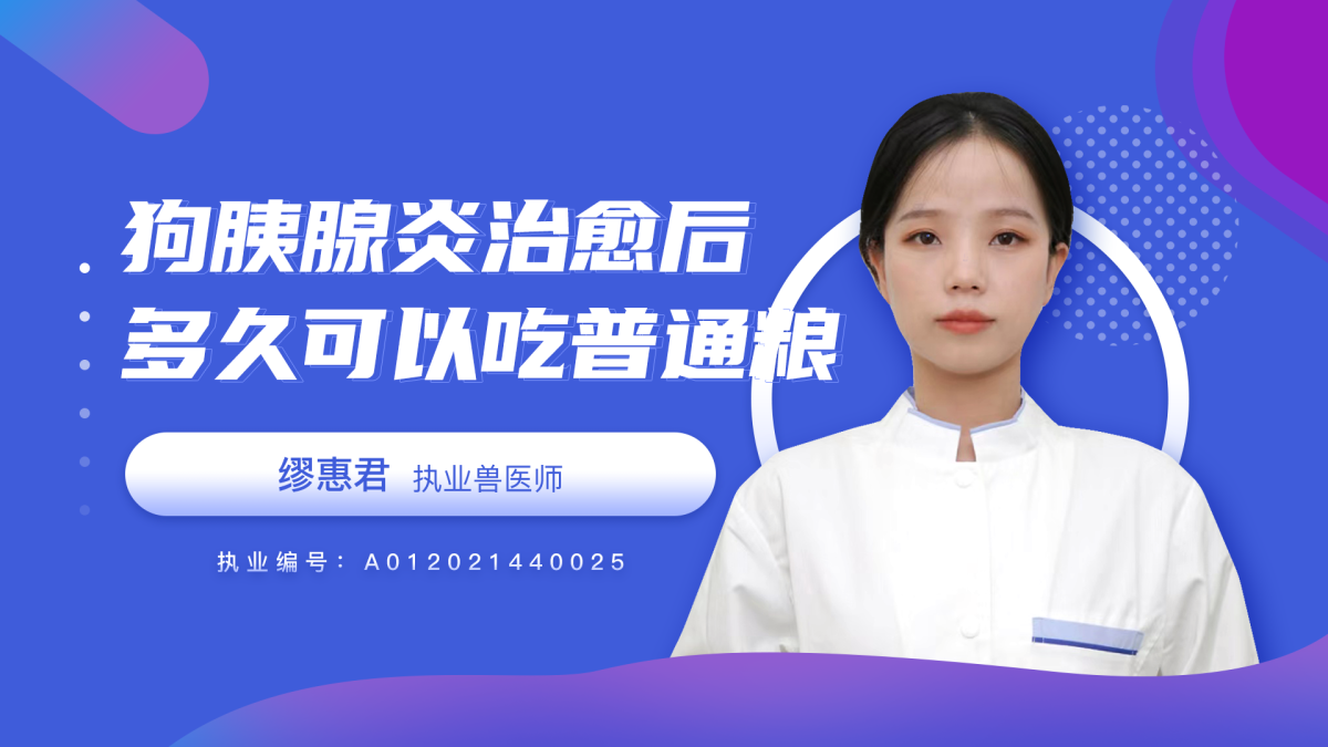 狗胰腺炎治愈后多久可以吃普通粮？