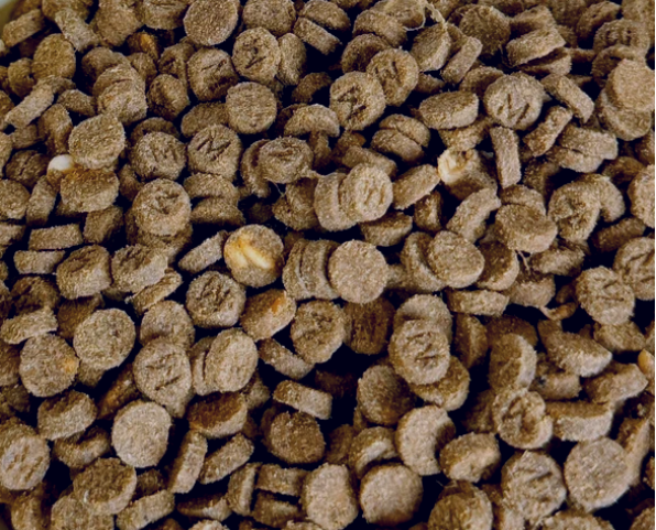 短脖子乔治猫粮好不好？