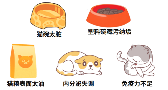 小貓黑下巴怎麼治？