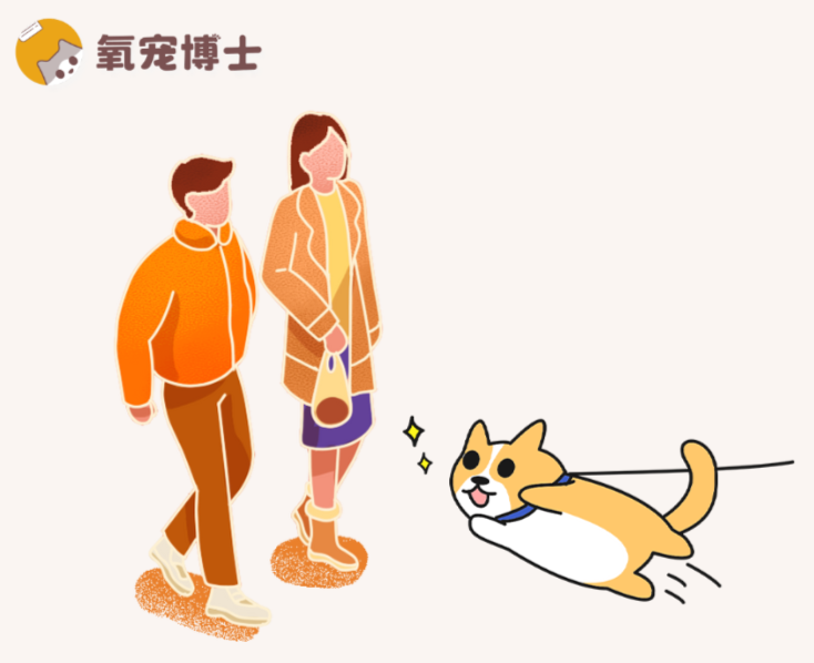 狗狗对陌生人过于热情，见人就扑怎么办？