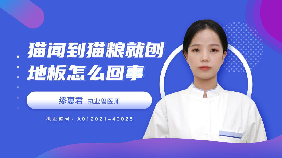 猫咪闻到猫粮就刨地板是怎么回事呢？