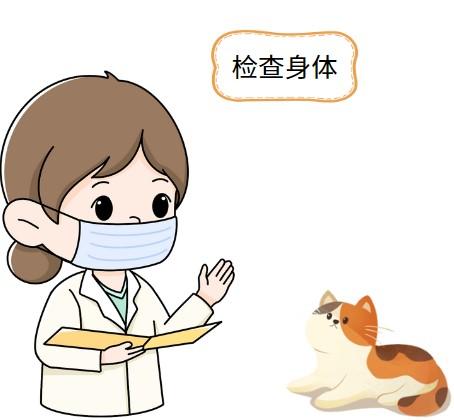 怀孕的猫得了猫鼻支吃什么药？