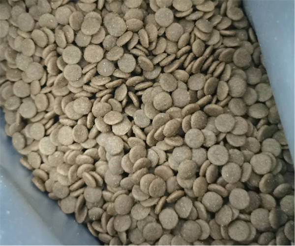 宠率猫粮怎么样
