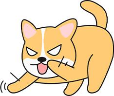 怎么让狗认清自己的地位