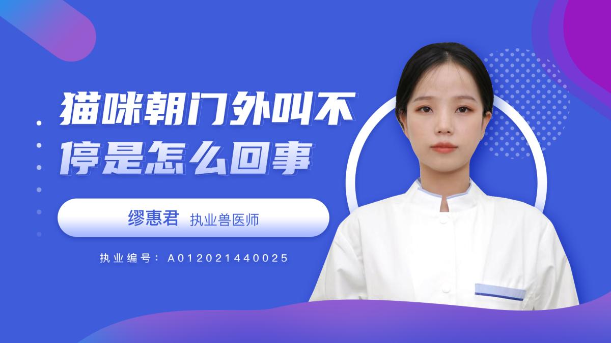 猫咪朝着门外叫不停是怎么回事呢？