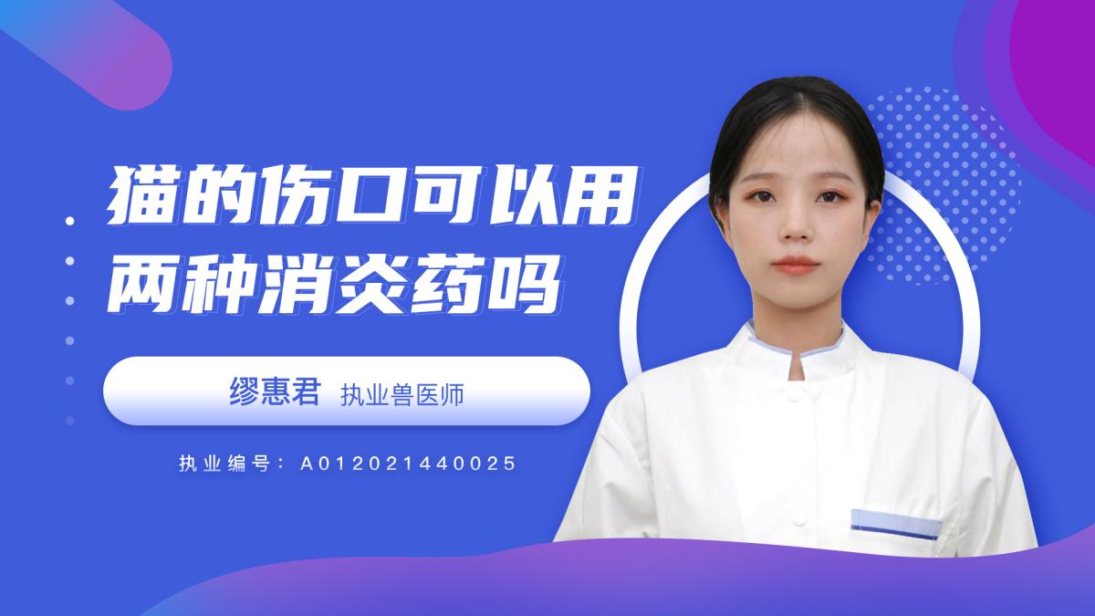 猫咪的伤口可以同时用两种抑菌消炎药吗？