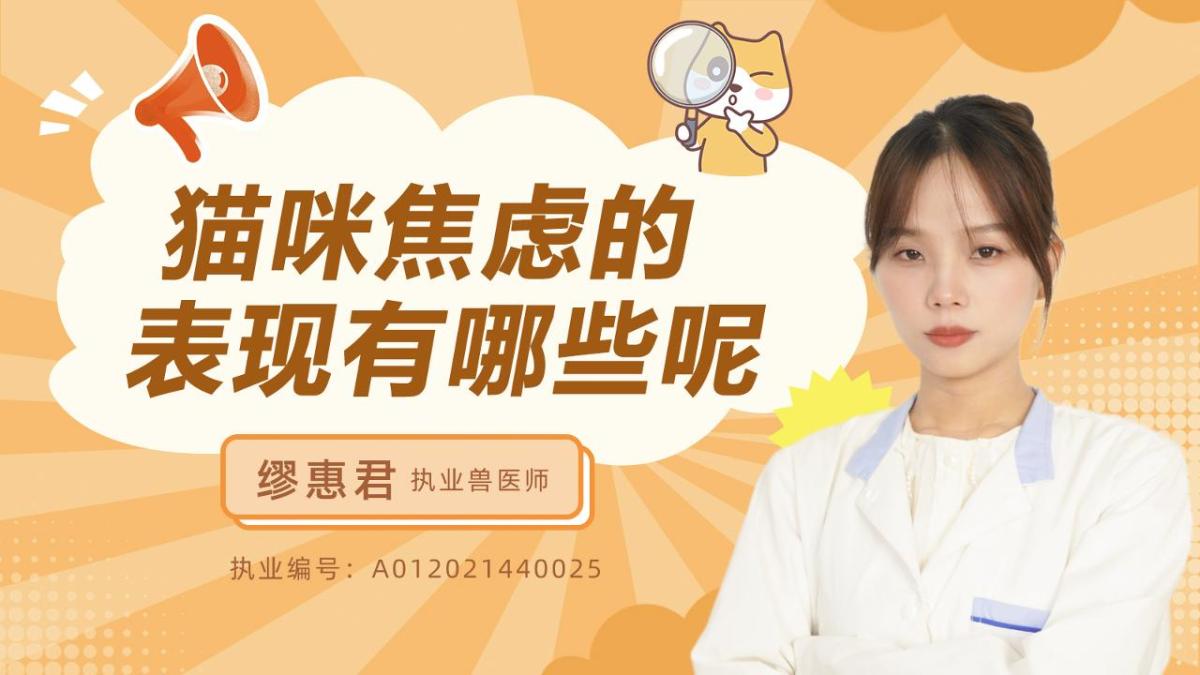 猫咪焦虑的表现有哪些呢？