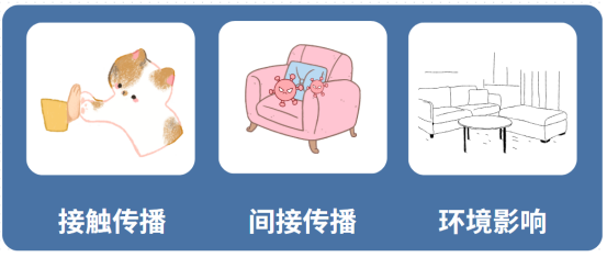猫癣的传播途径