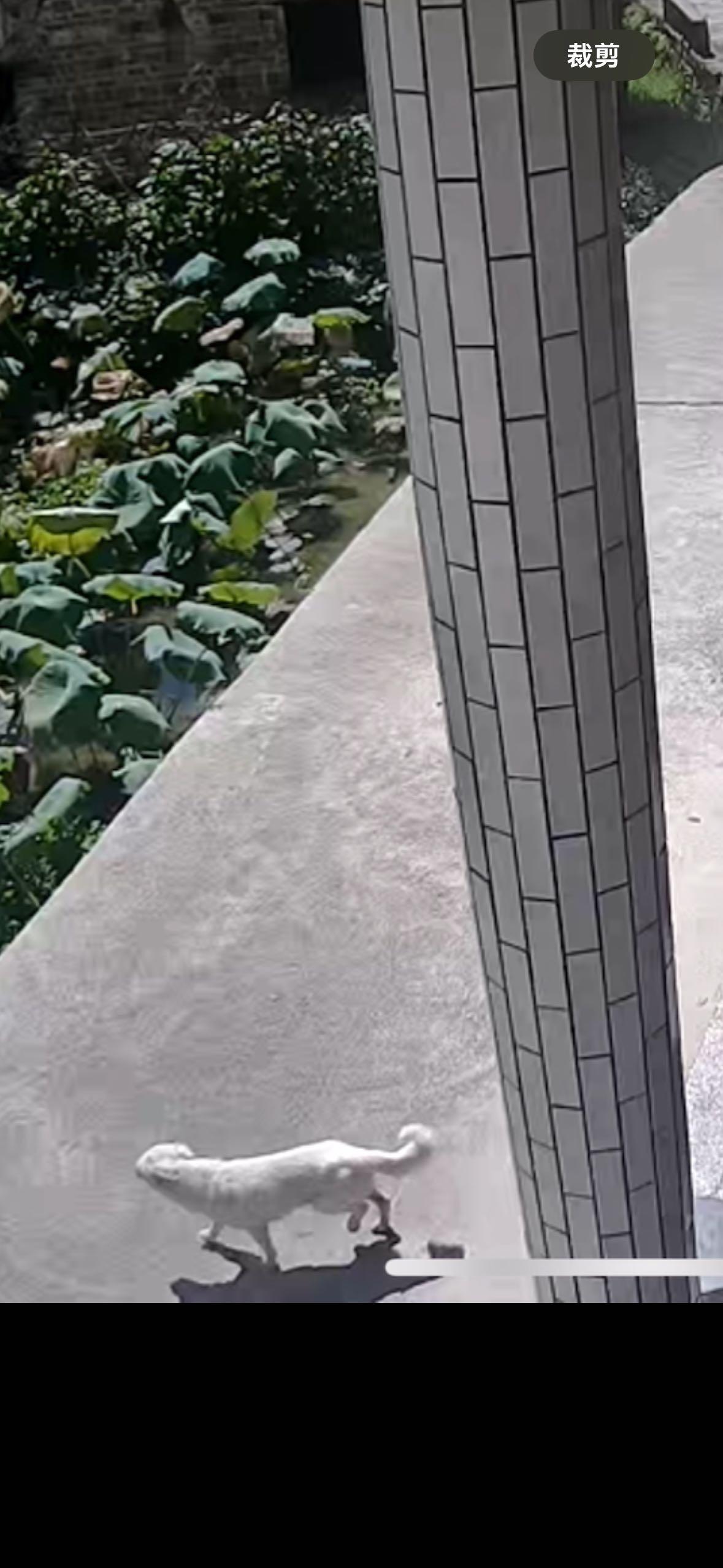 https://s.isdpp.com/images/ufFPOkZcMQKp8WsY