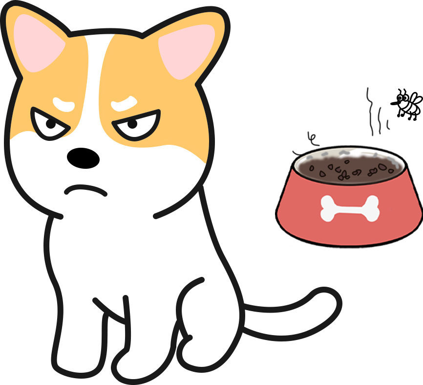 狗糧泡水吃還是幹吃好