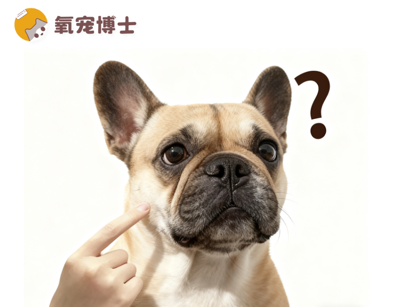 狗狗体味排名