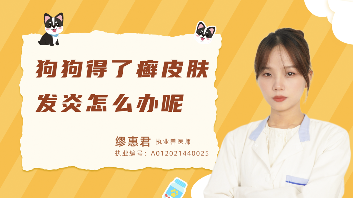 狗狗得了癣皮肤发炎怎么办呢？