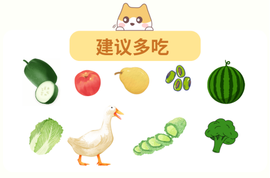 狗狗的尿很黃怎麼辦？