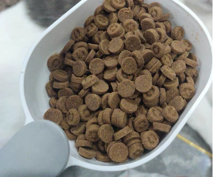 东边烘焙猫粮