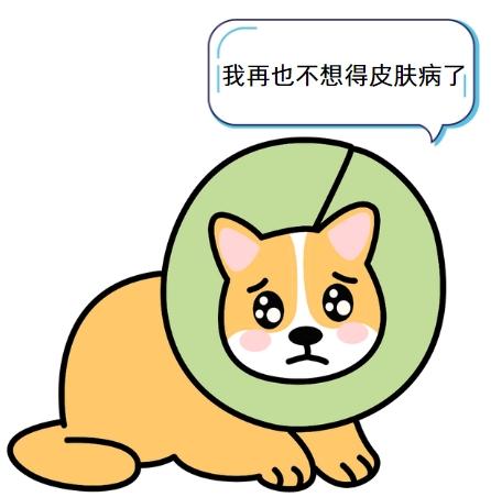 從發現到治愈：小狗膿包處理全流程，新手也能輕鬆掌握