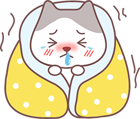 猫咪老是咳嗽怎么办
