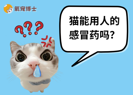 猫能用人的感冒药吗？