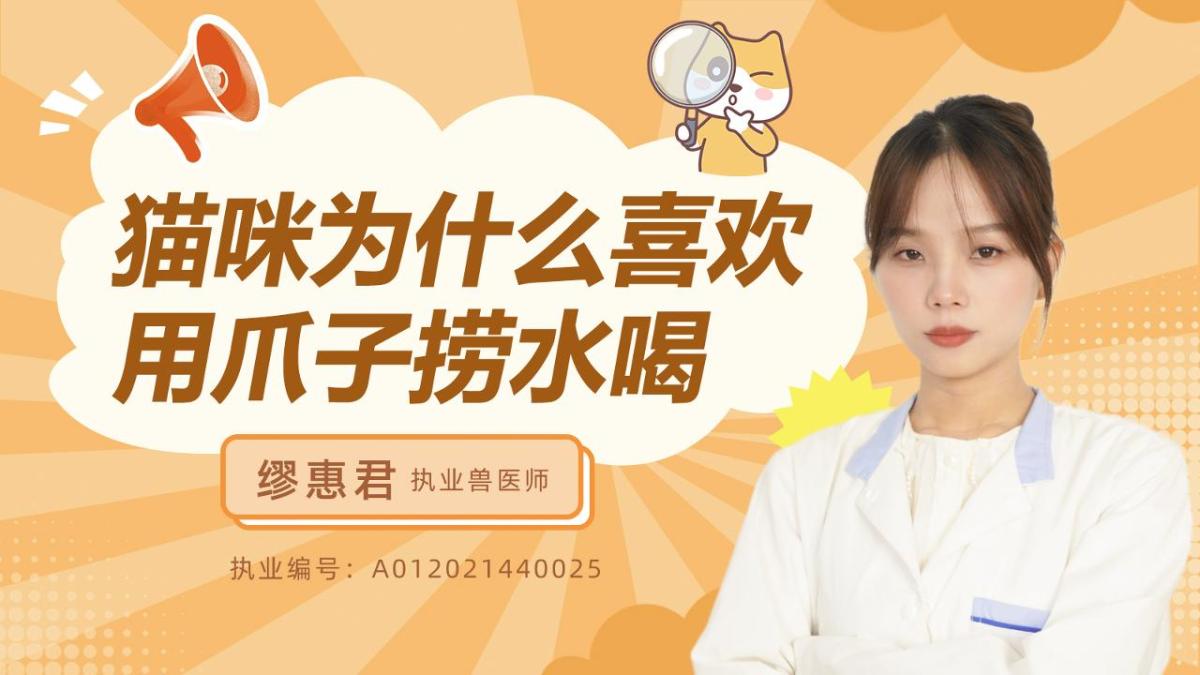 猫咪为什么喜欢用爪子捞水喝？