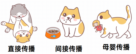 貓鼻支
