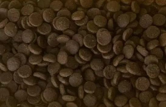 帕特猫粮好不好？