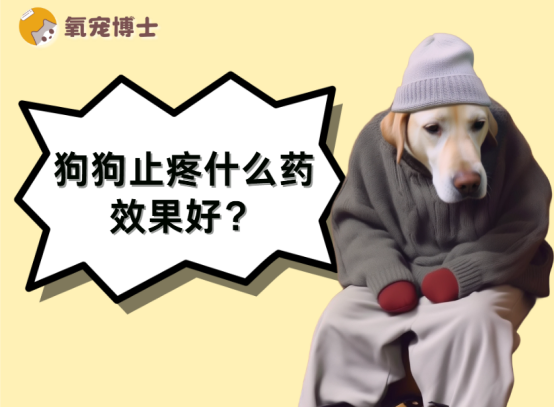 狗狗止疼什么药效果好？