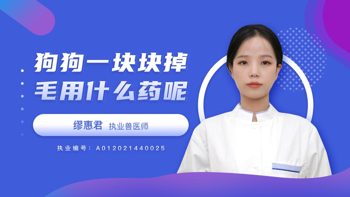 狗狗一块一块的掉毛用什么药呢？